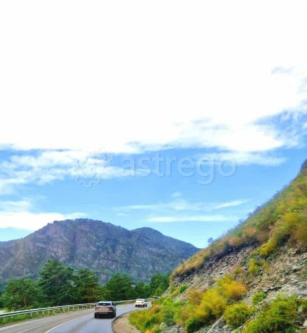 Земельный участок, 1 га Алтайское - изображение 1