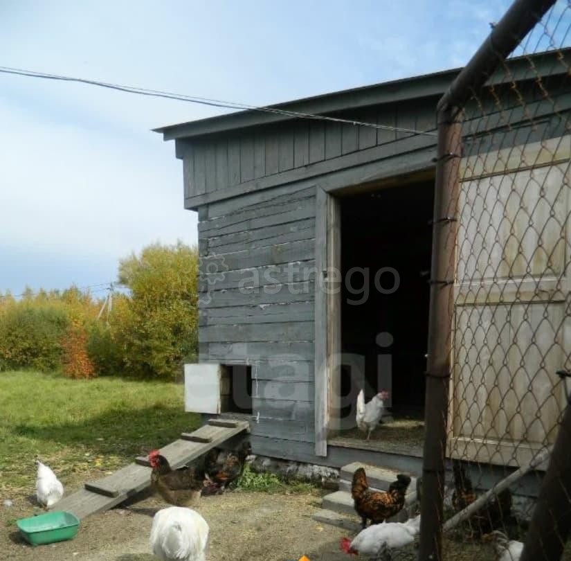 Дом, 217 м2, 24 сотки, 2 эт. Шимановск - изображение 3