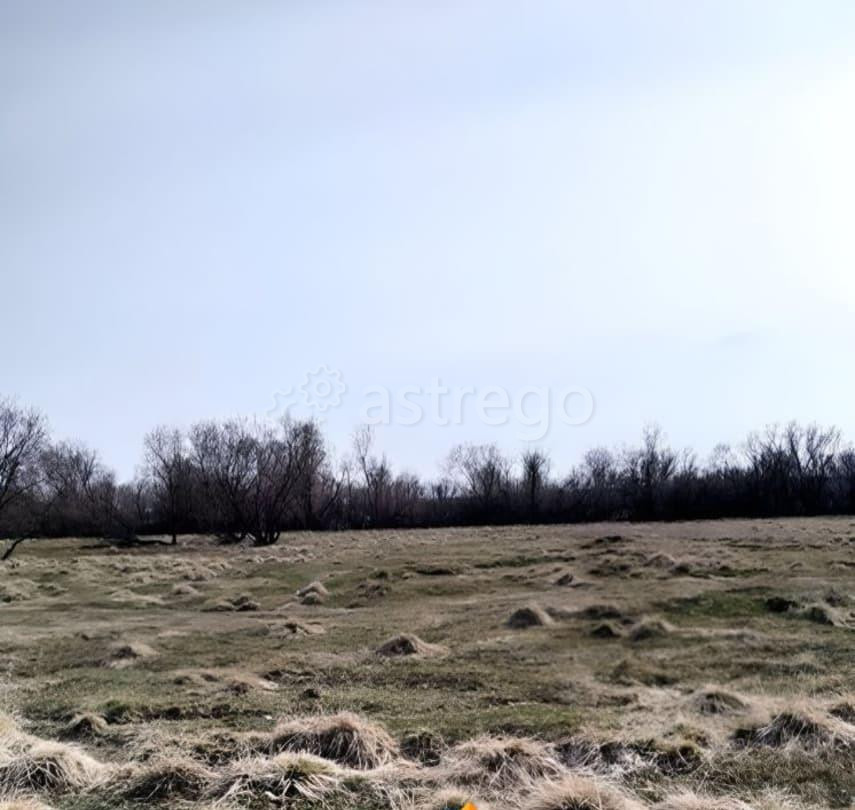 Земельный участок, 2.4 га Архангельск - изображение 4