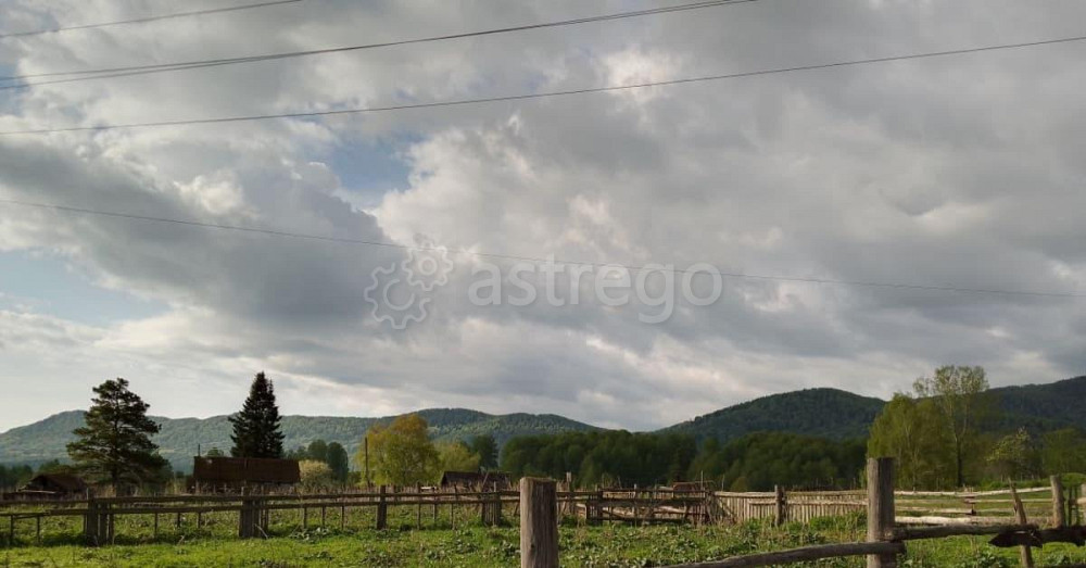 Земельный участок, 100 га Алтайское - изображение 2