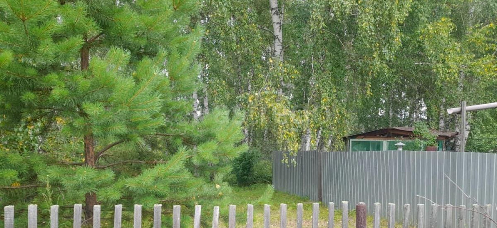 Земельный участок, 18 соток Емельяново - изображение 3