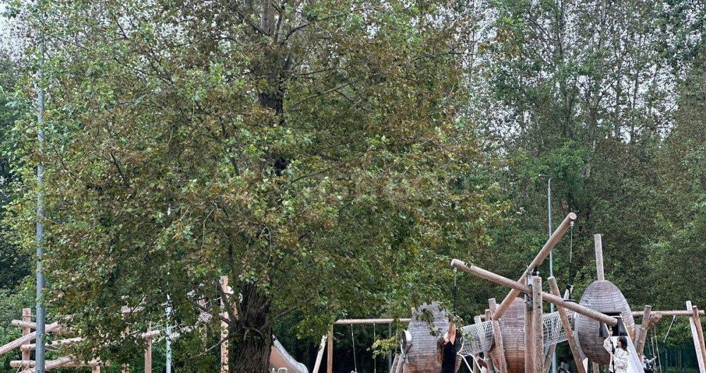 Комната, 13.2 м2, 1/9 эт. Санкт-Петербург - изображение 7