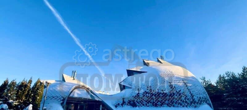 Коттедж, 500 м2 Красногорск - изображение 2