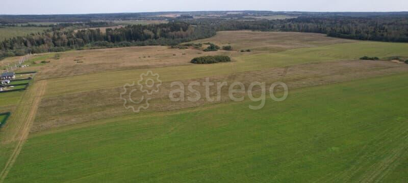 Земля с/х назначения, 26 га Руза - изображение 4