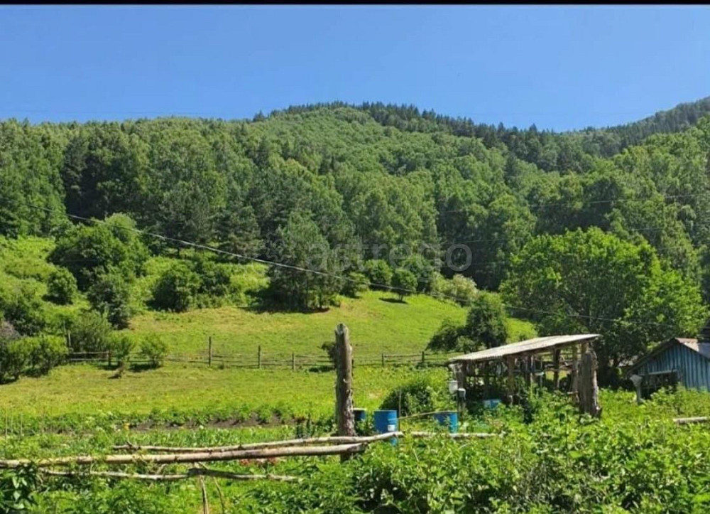 Земельный участок, 0.53 га Алтайское - изображение 2