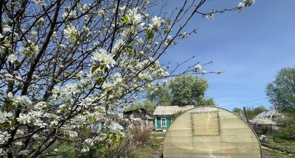 Дом, 33.8 м2, 7.2 сотки, 1 эт. Свободный - изображение 6