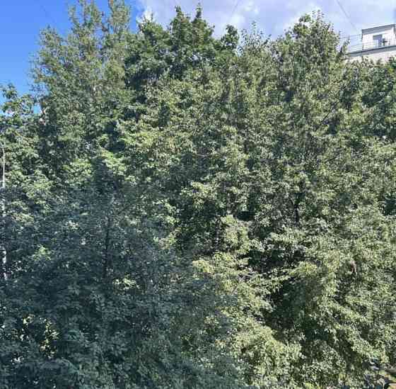 5-комн. квартира, 115 м2, 3/12 эт. Москва