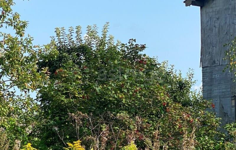 Земля под ИЖС, 17 соток Егорьевск - изображение 4