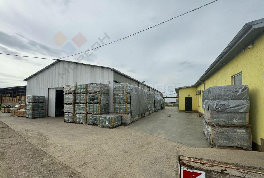 Склад, 4300 м, 209.9 га Энем - изображение 5