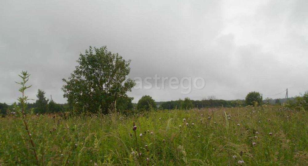 Коммерческий участок, 13.29 сотки Шаховская - изображение 1