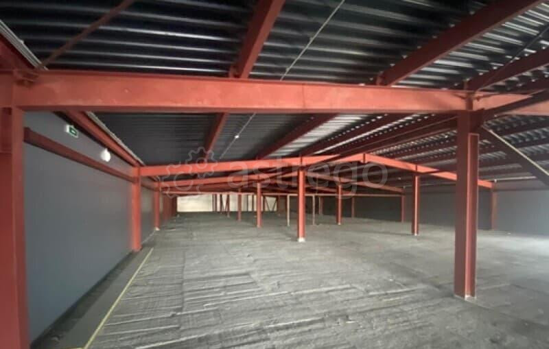 Свободного назначения, 780 м2 Раменское - изображение 4