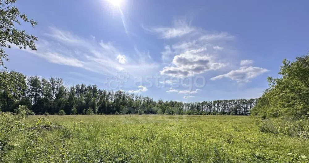 Земельный участок, 21.6 га Кармаскалы - изображение 2