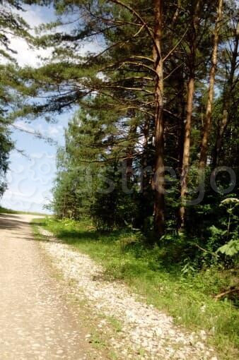 Земля под ИЖС, 12 соток Озёры - изображение 6