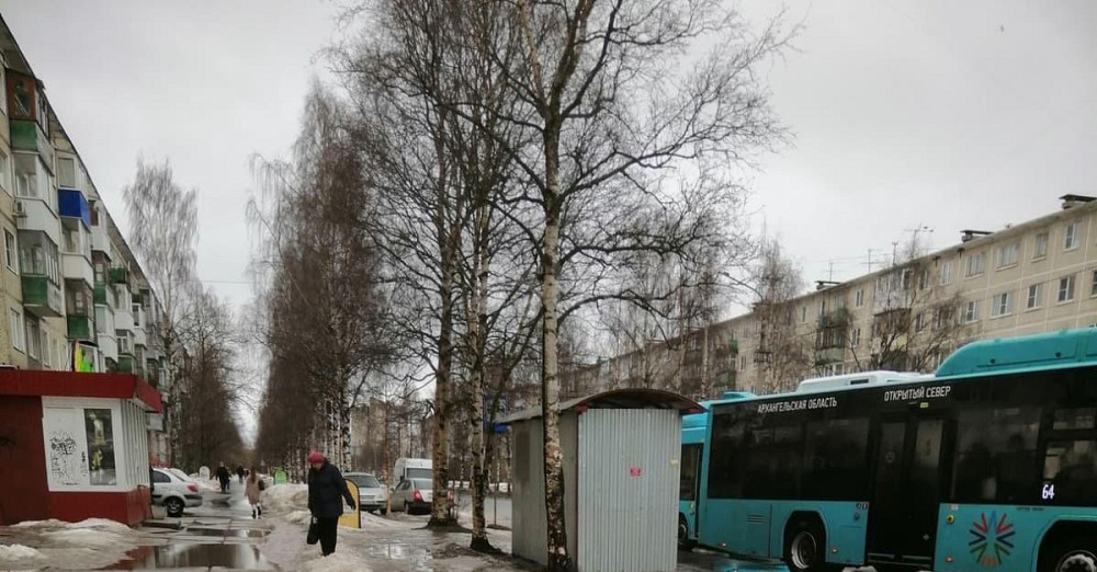 Торговое помещение, 64.2 м2 Архангельск - изображение 5