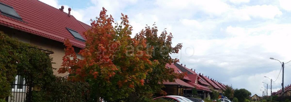 Дом, 64 м2, 3 сотки, 2 эт. Санкт-Петербург - изображение 3