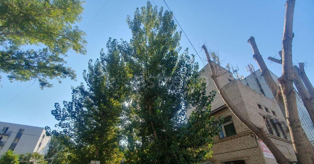 Свободного назначения, 947.7 м2 Астрахань - изображение 2