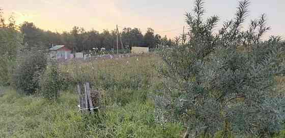 Земельный участок, 10 соток Емельяново