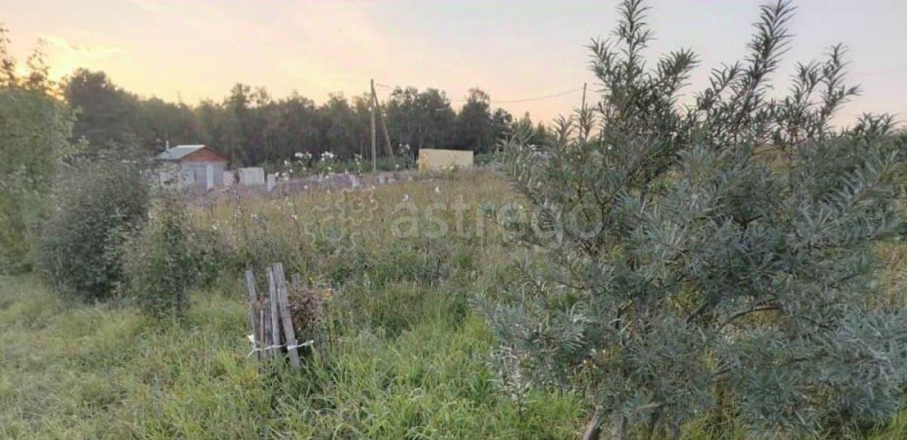 Земельный участок, 10 соток Емельяново - изображение 4