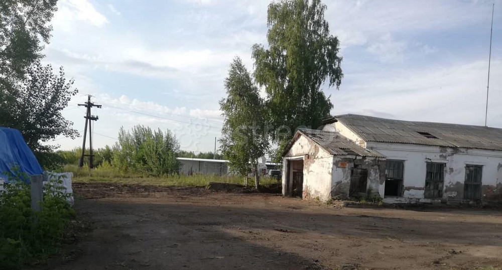 Свободного назначения, 195 м2 Бийск - изображение 3