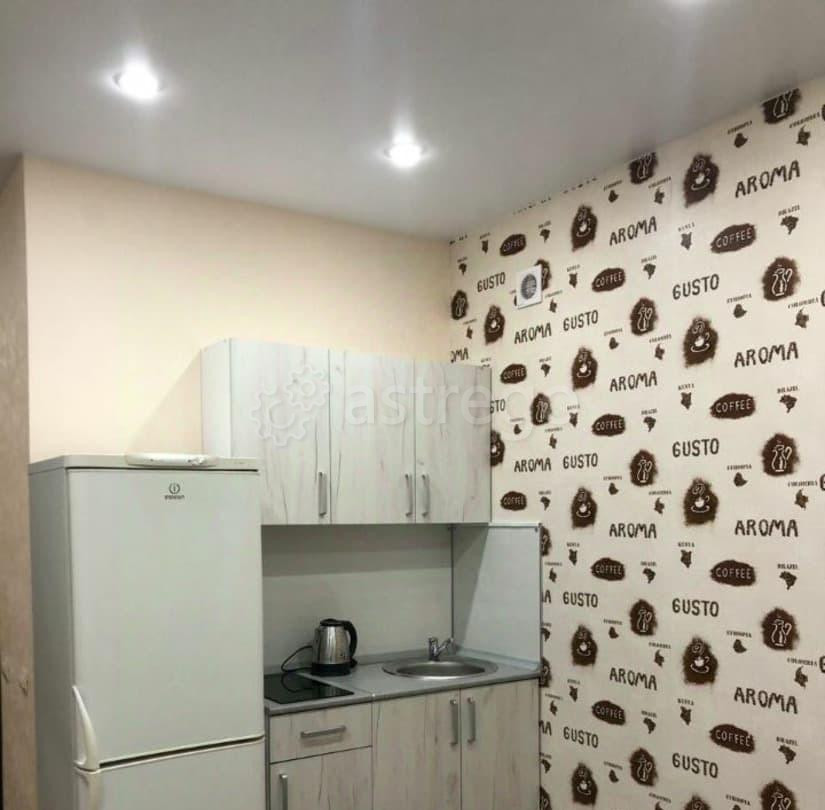 Студия, 25 м2, 10/10 эт. Барнаул - изображение 4