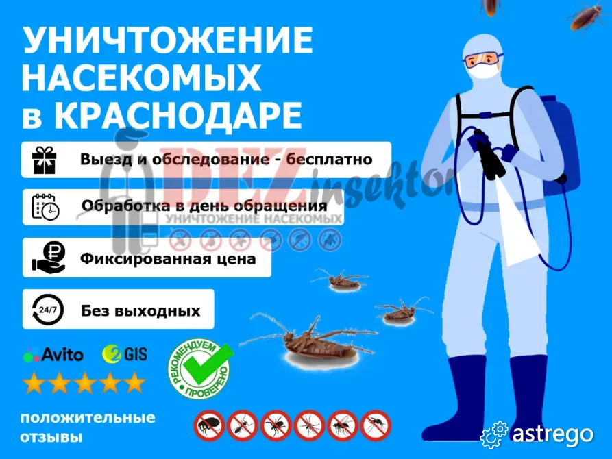 Уничтожение Тараканов, клопов и других Насекомых. Дезинсекция. Краснодар - изображение 1