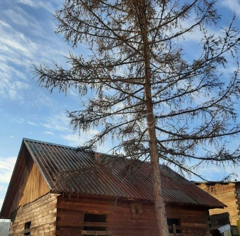 Земельный участок, 8 соток Красноярск - изображение 3