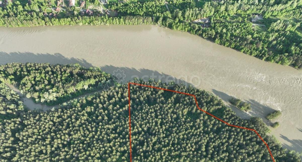 Коммерческий участок, 5.1 га Горно-Алтайск - изображение 3