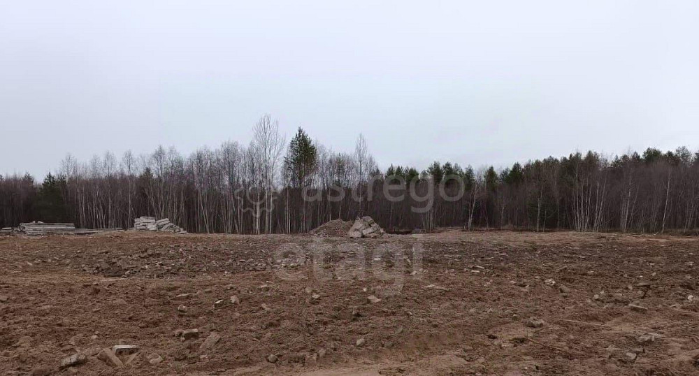 Земельный участок, 3.05 га Новодвинск - изображение 5