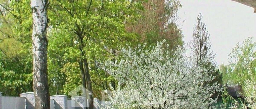 Дом, 475 м2, 17 соток, 3 эт. Санкт-Петербург - изображение 2