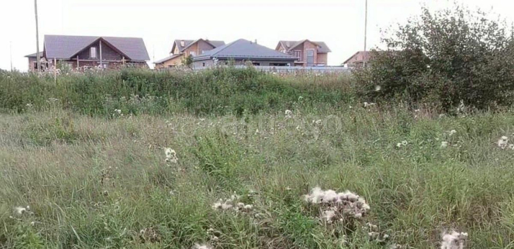 Земельный участок, 10.5 сотки Емельяново - изображение 3