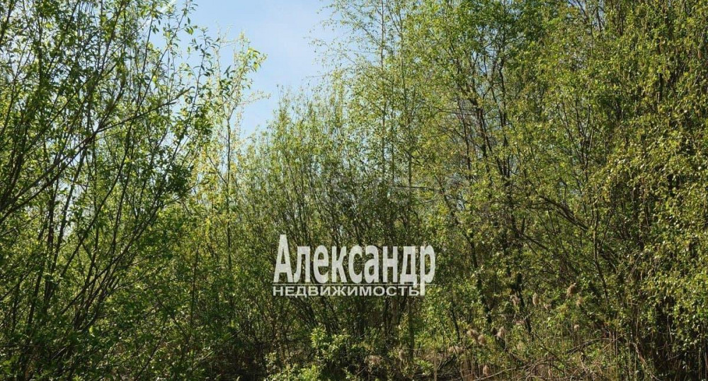 Земельный участок, 12 соток Санкт-Петербург - изображение 6
