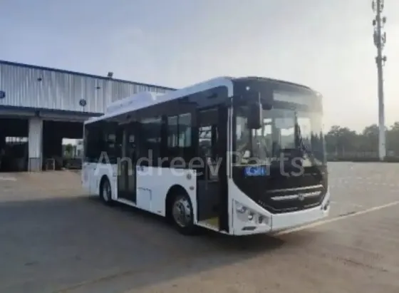 Zhong Tong LCK6860HGN, 2025 Санкт-Петербург