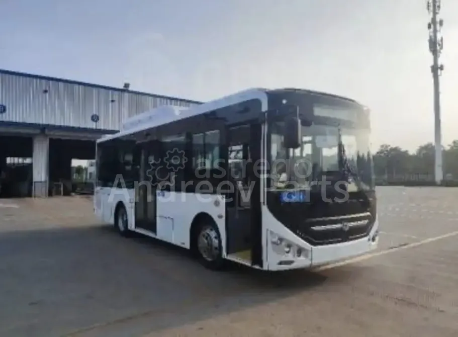 Zhong Tong LCK6860HGN, 2025 Санкт-Петербург - изображение 6
