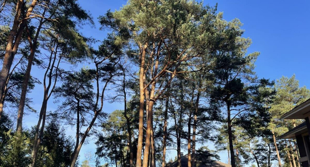 Коттедж, 380 м2, 25 соток, 2 эт. Звенигород - изображение 4