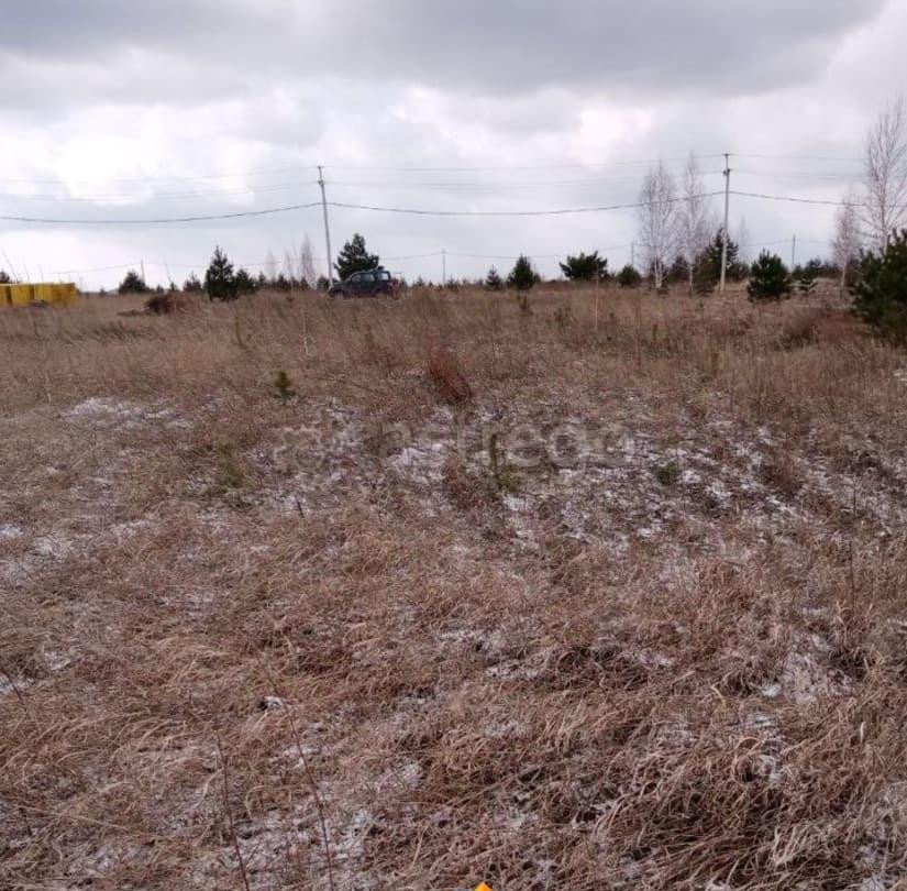 Земельный участок, 15 соток Березовка - изображение 4