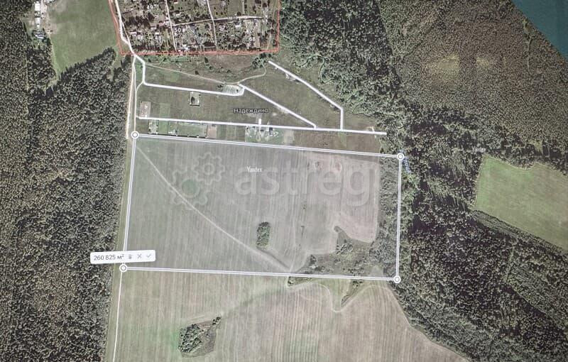 Земля с/х назначения, 26 га Руза - изображение 5