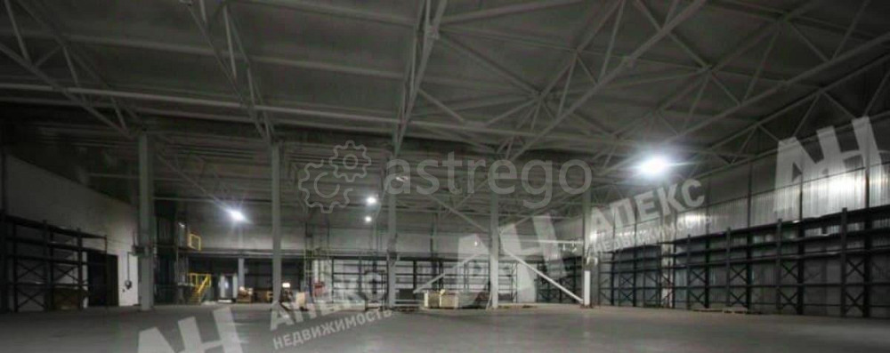 Производственное, 660 м2 Лыткарино - изображение 6