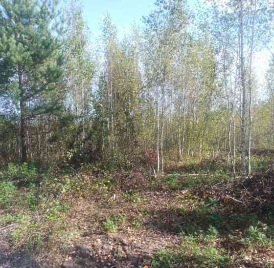 Земельный участок, 22.01 сотки Электрогорск