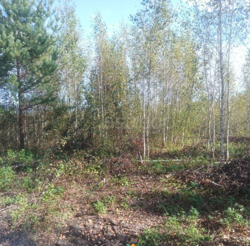 Земельный участок, 22.01 сотки Электрогорск - изображение 1