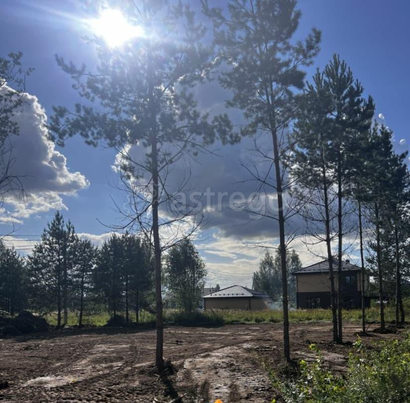 Земельный участок, 8 соток Раменское - изображение 5