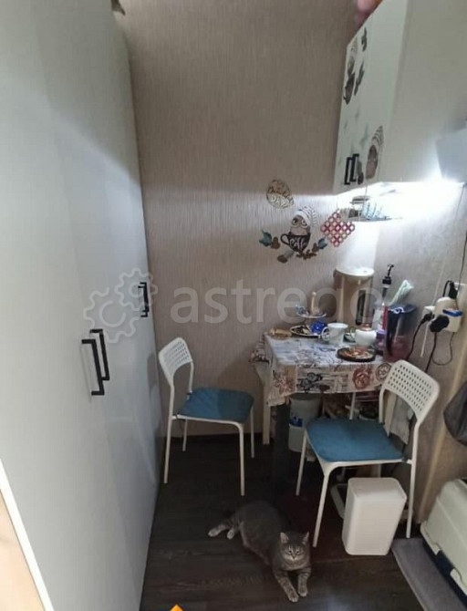 Комната, 17.5 м2, 3/5 эт. Красноярск - изображение 5