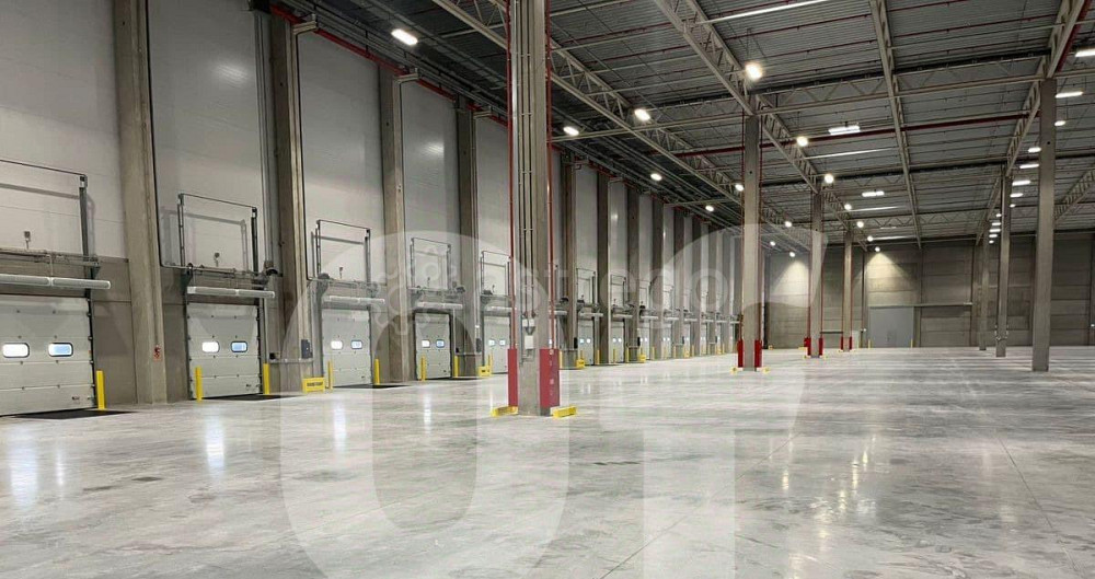 Производственное, 7597 м2 Пушкино - изображение 5