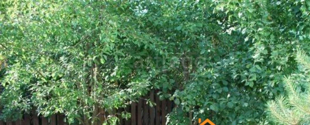 Дом, 150 м2, 6 соток, 3 эт. Долгопрудный - изображение 1