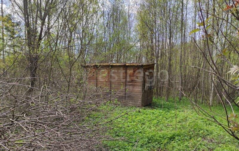 Земельный участок, 10 соток Волоколамск - изображение 9