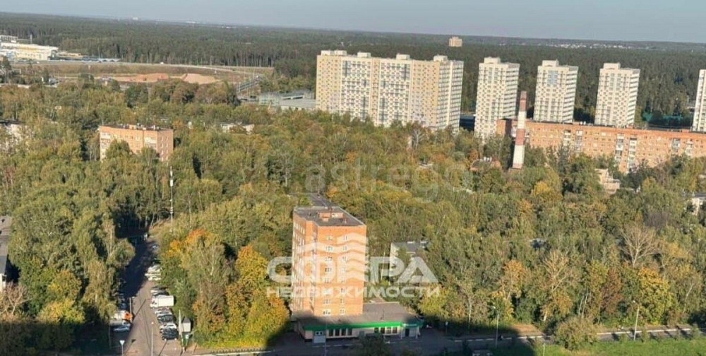 Свободного назначения, 1010.5 м2 Пушкино - изображение 3