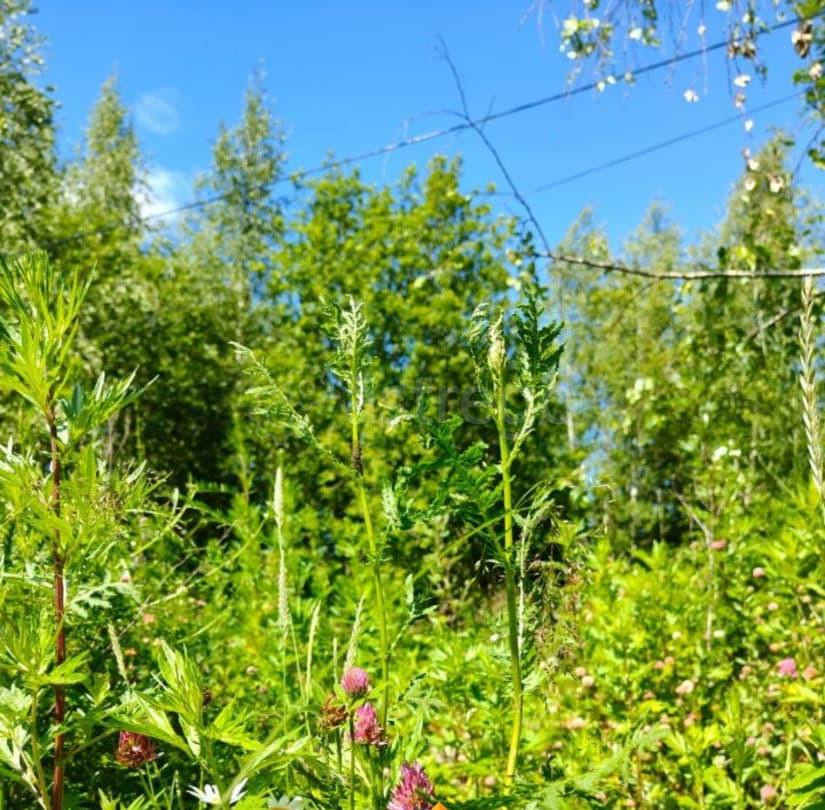 Земельный участок, 10 соток Воскресенск - изображение 4