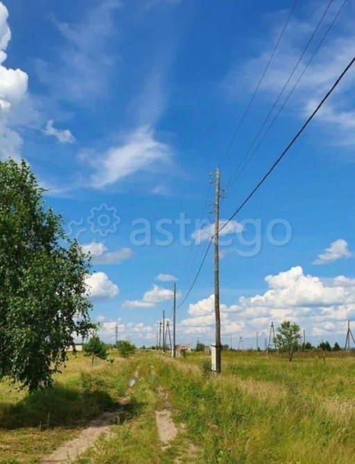 Земельный участок, 10 соток Березовка - изображение 4