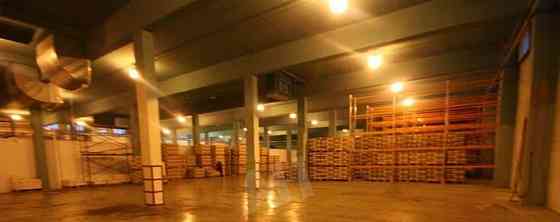 Производственное, 3750 м2 Лосино-Петровский