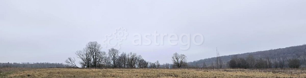 Земельный участок, 26.95 сотки Луховицы - изображение 2