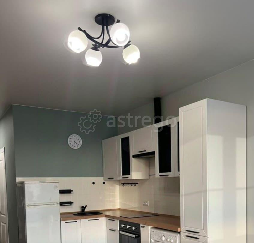 Студия, 25 м2, 25/25 эт. Балашиха - изображение 7